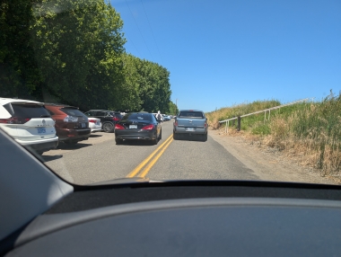 On hot summer weekends and holidays, vehicles at Sauvie Island's beaches can outnumber parking spaces by a large margin, leading to traffic jams and safety issues.